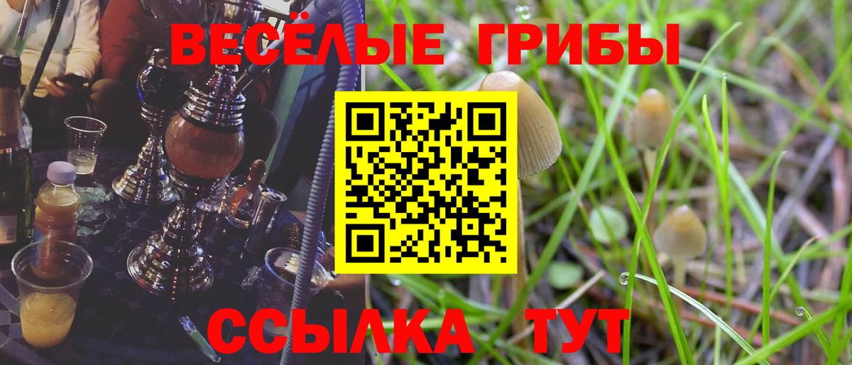 Шелехов  Галлюциногенные грибы MAGIC MUSHROOMS  Вход с VPN 