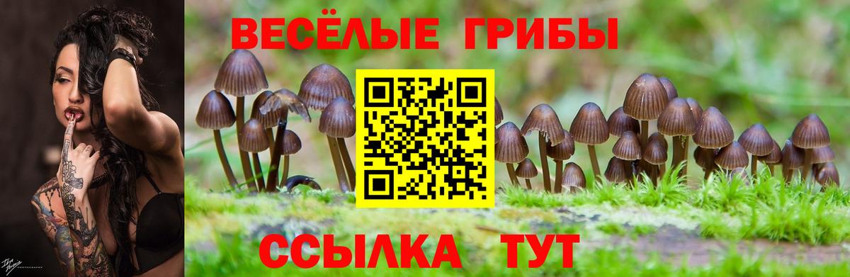 Галлюциногенные грибы GOLDEN TEACHER Шелехов